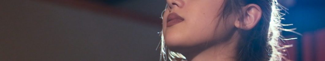 Calvin Harris – This Is What You Came For ft. Rihanna cover by Jannine Weigel